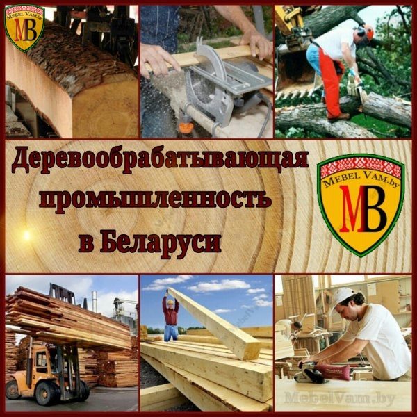 деревообрабатывающая промышленность в беларуси