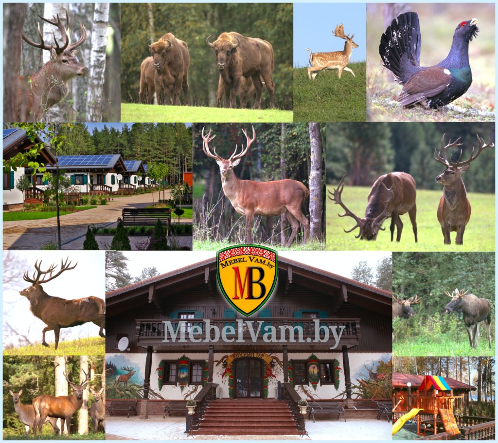 Фотообои от производителя мебели в Минске